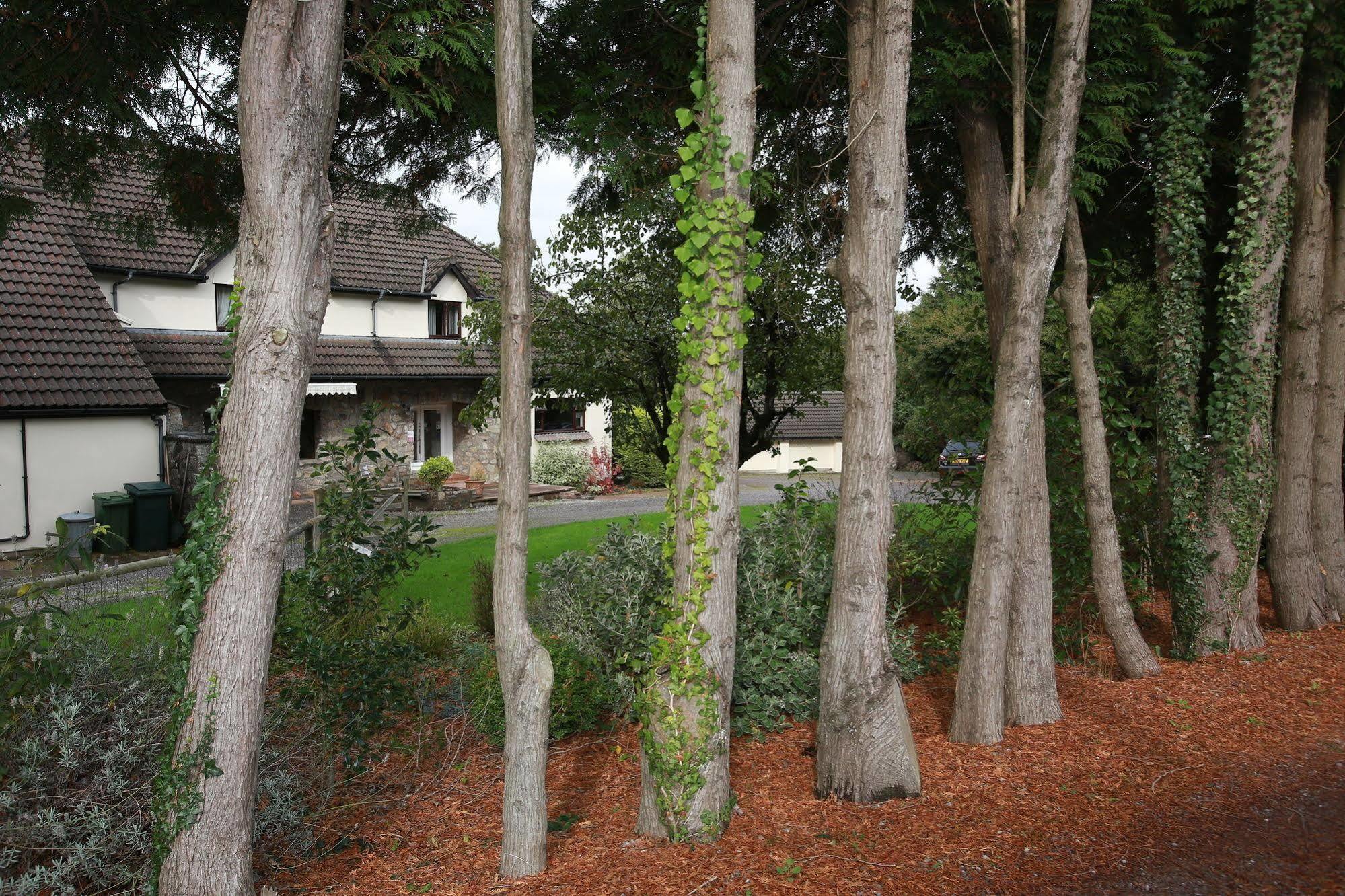 Ewenny Farm Guest House Bridgend  Exterior foto